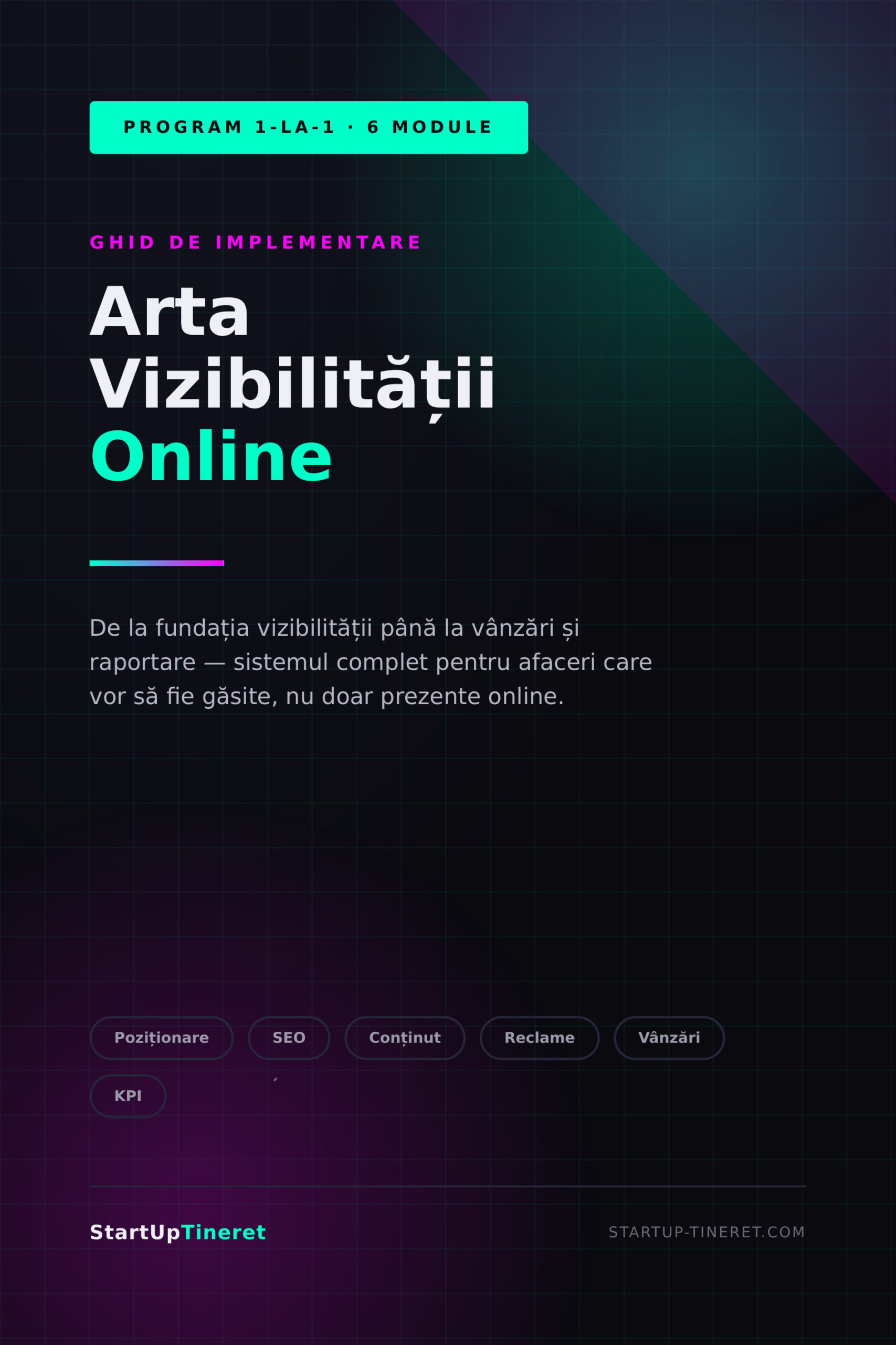 Arta Vizibilității Online Programul complet de marketing pentru afaceri, în 6 module - imagine 2