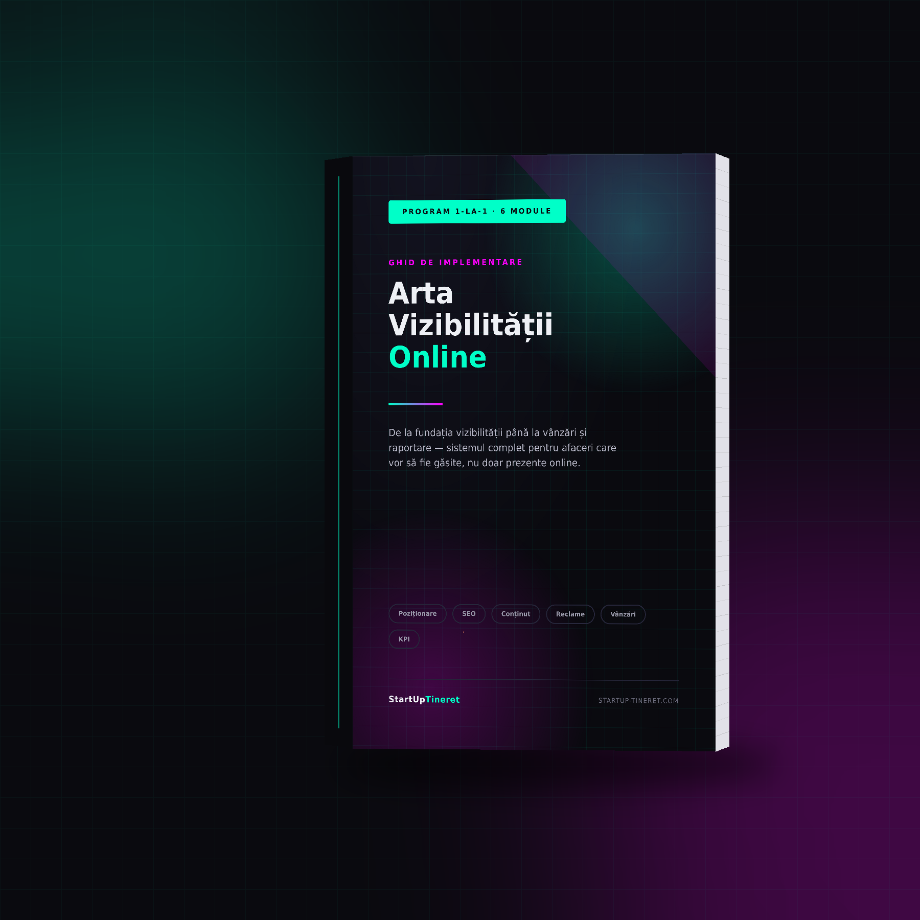 Arta Vizibilității Online Programul complet de marketing pentru afaceri, în 6 module